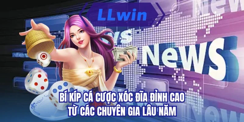 Bí kíp cá cược xóc đĩa đỉnh cao từ các chuyên gia lâu năm