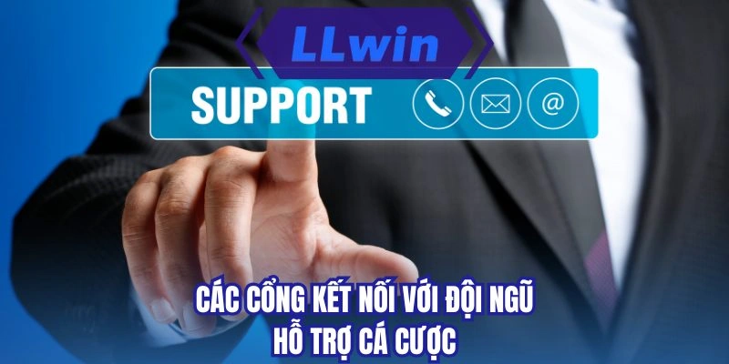 Các cổng kết nối với đội ngũ hỗ trợ cá cược